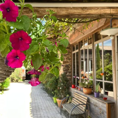 住宿加早餐酒店 Et Maison D Hotes A La Placette Albigeoise Pres D Albi
