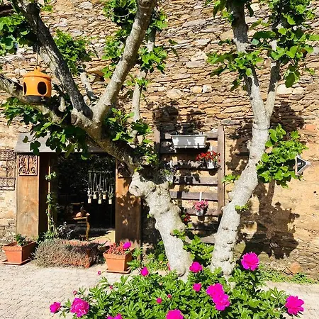 Et Maison D Hotes A La Placette Albigeoise Pres D Albi